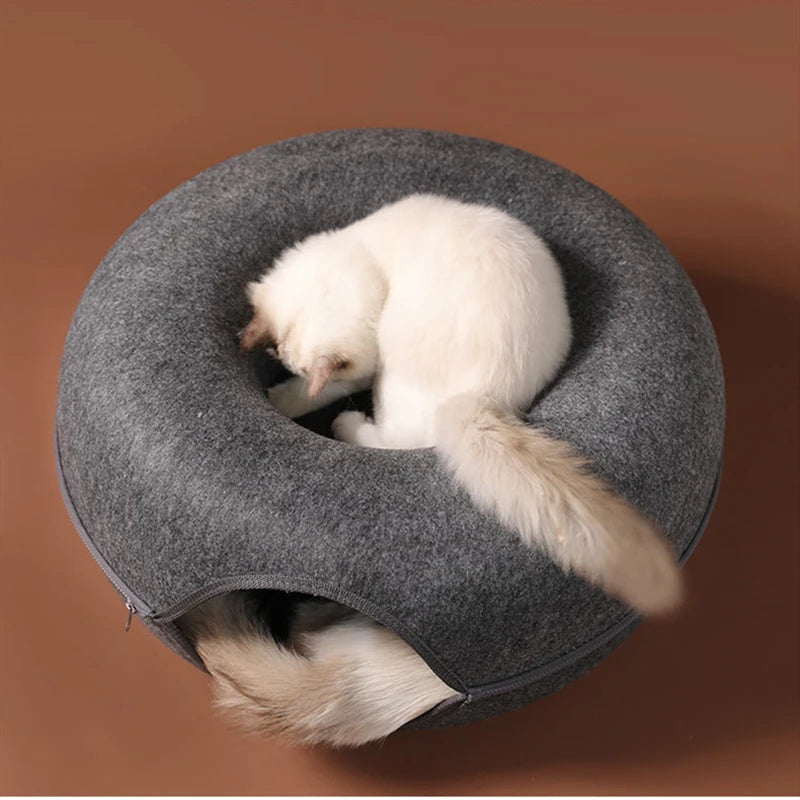 Cat Tunnel House