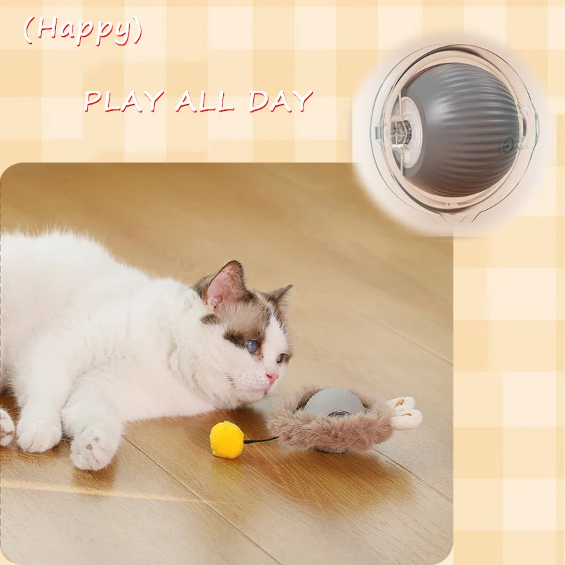 Interactive Fast Rolling Balls in Pouch