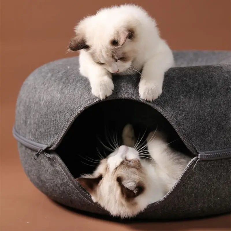 Cat Tunnel House