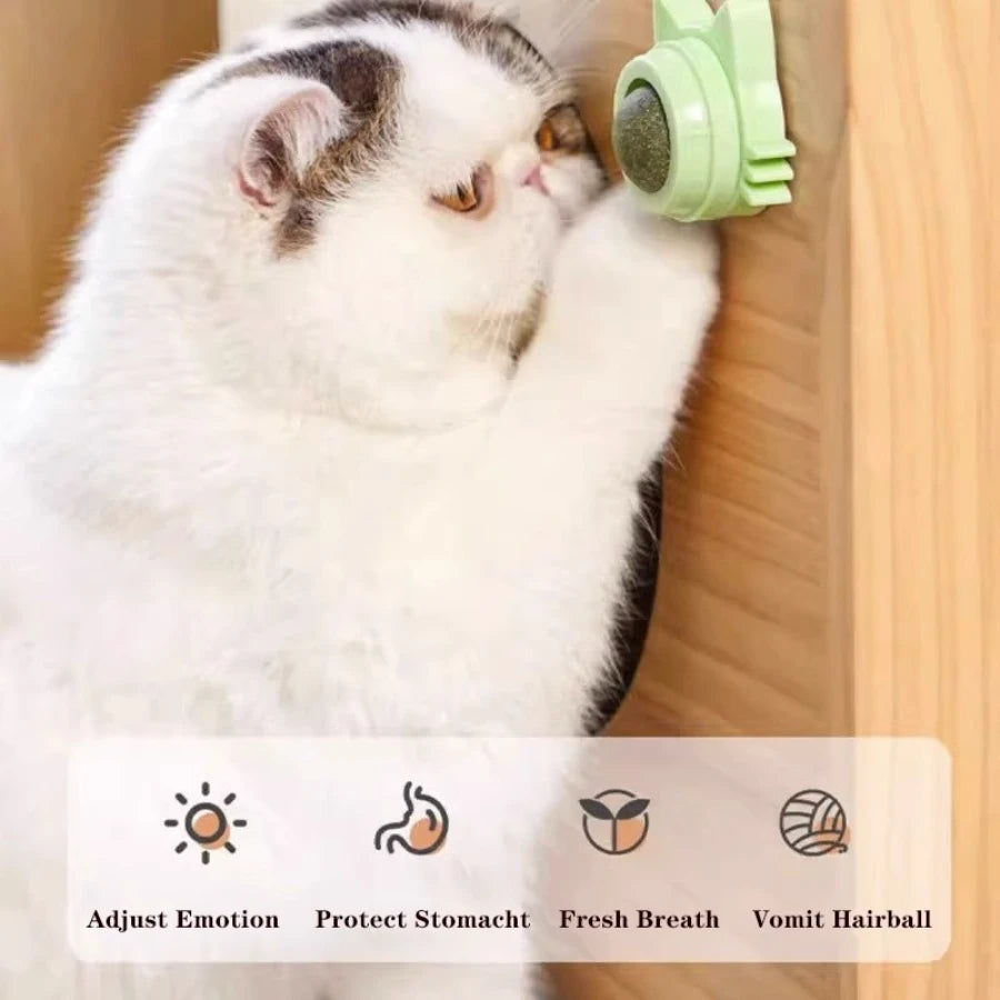 Cats Rotatable Catnip Wall Ball