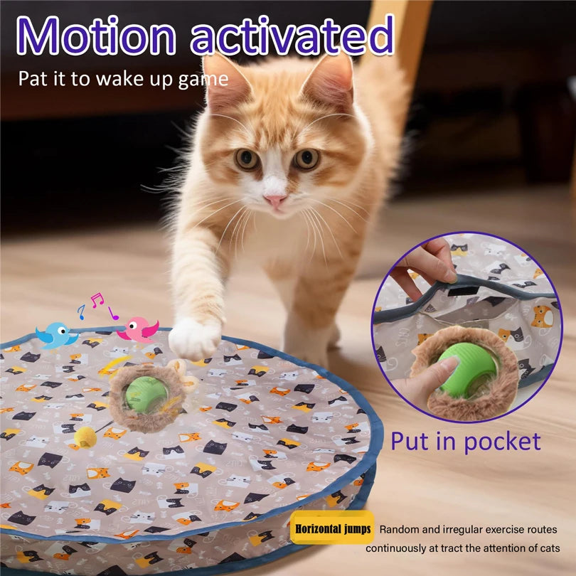 Interactive Fast Rolling Balls in Pouch