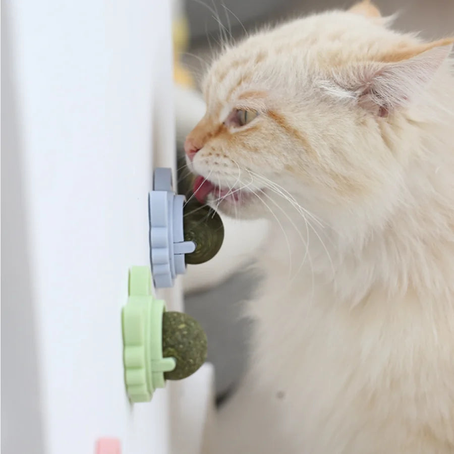Cats Rotatable Catnip Wall Ball