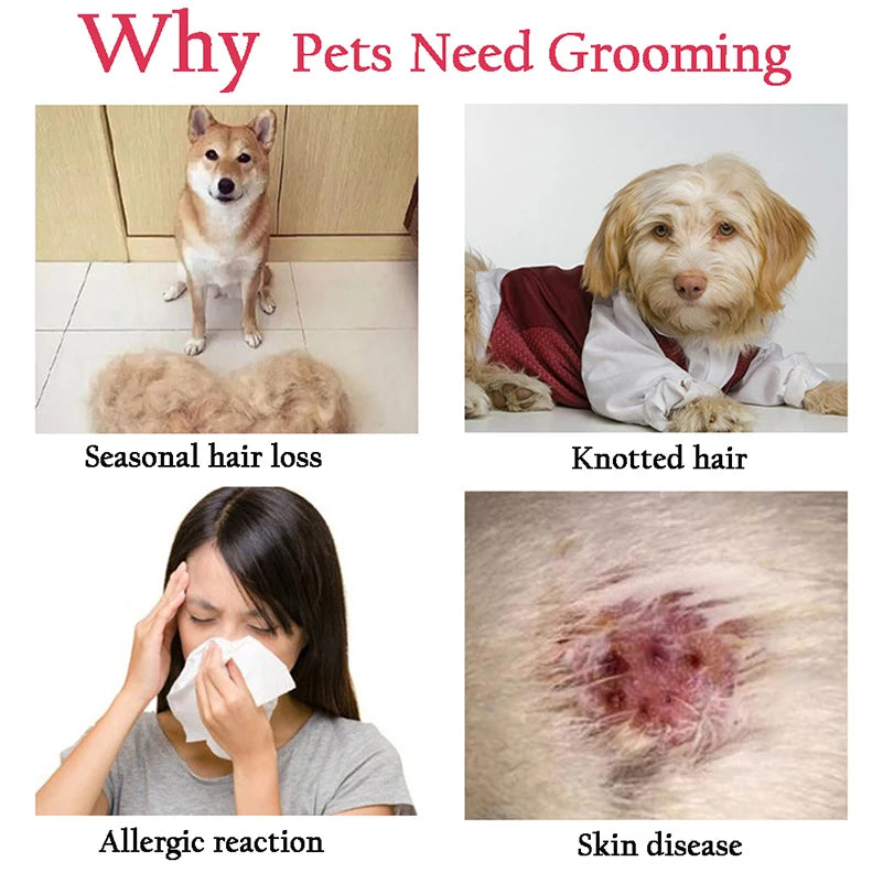 Pet Deshedding Brush- Dog Hair Remover
