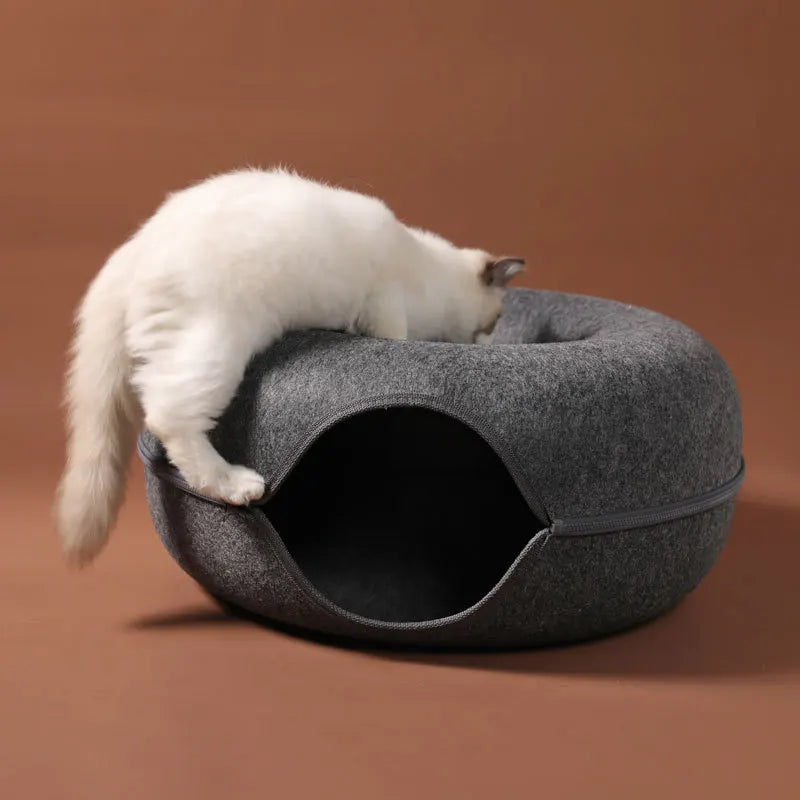 Cat Tunnel House