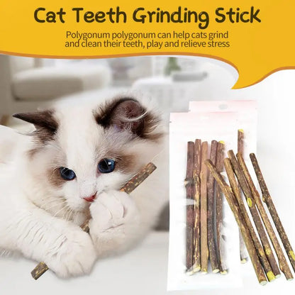 Catnip No Additives Chew Stick Treats