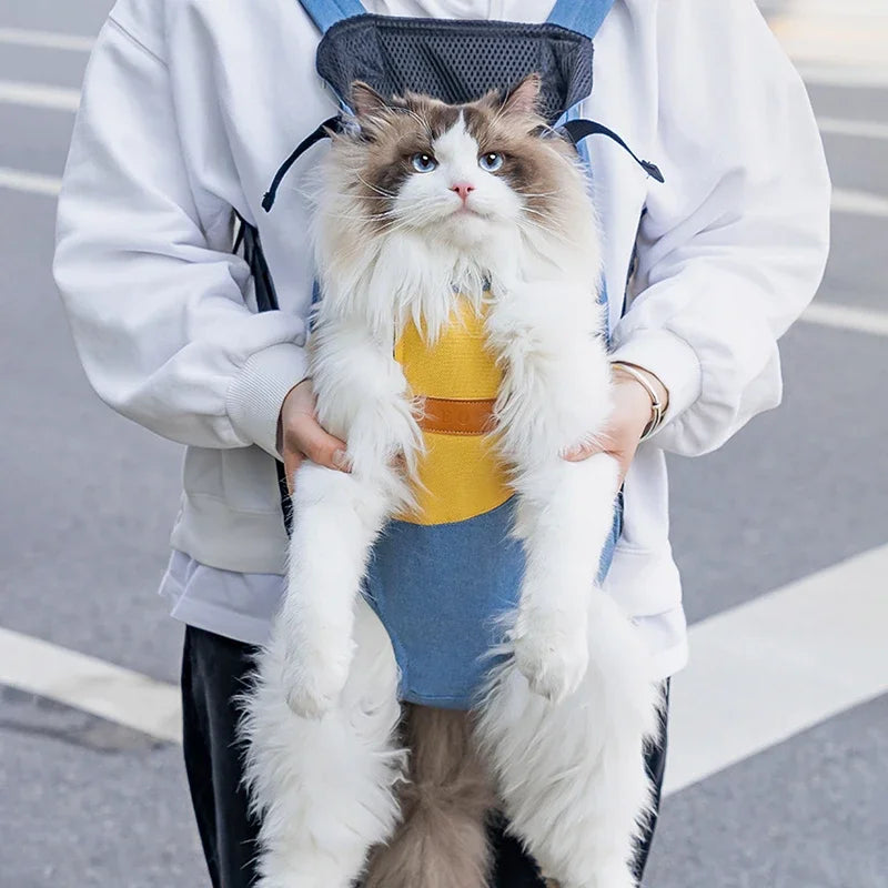 Cat Carrying Bag