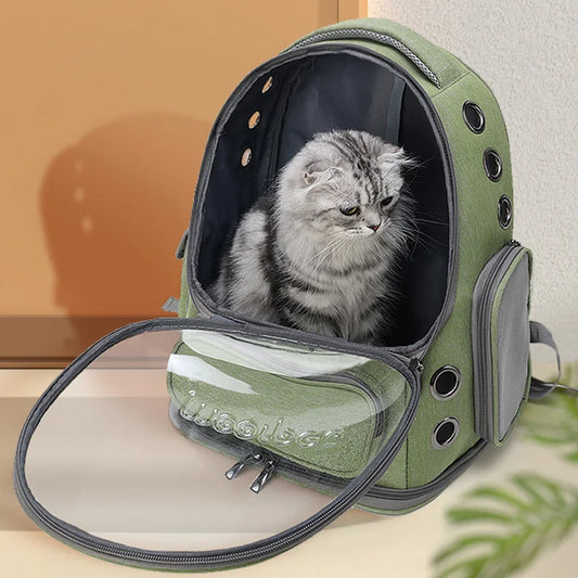 Transparent Cat Carrier Bag