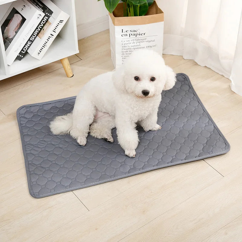 Reusable Dog Pee Pad Blanket Absorbent Washable