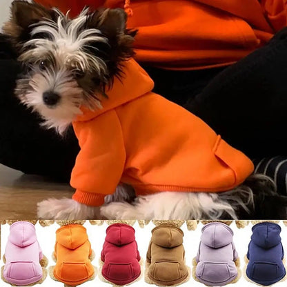 Dog Sweatshirt Two-legged Clothes