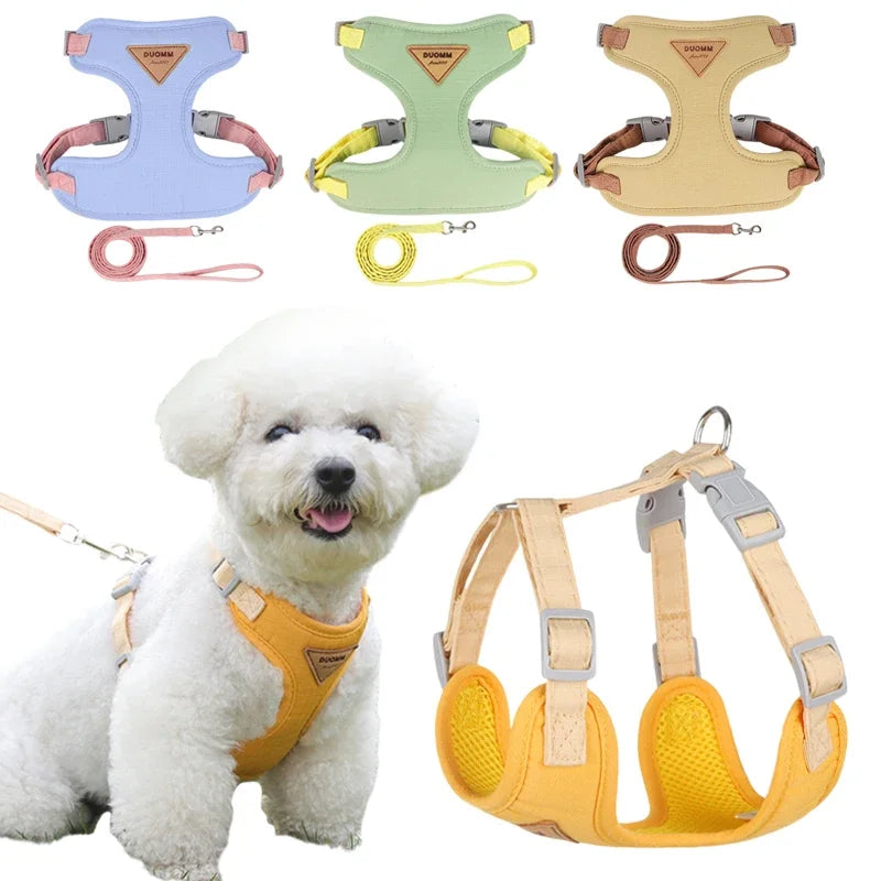 Pet Harness Leash Set for Small Medium Dog Cat