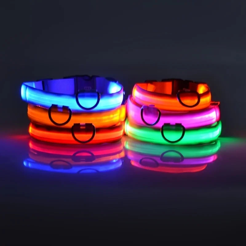 Nylon LED Night Safety Flashing Glow In The Dark Dog Leash