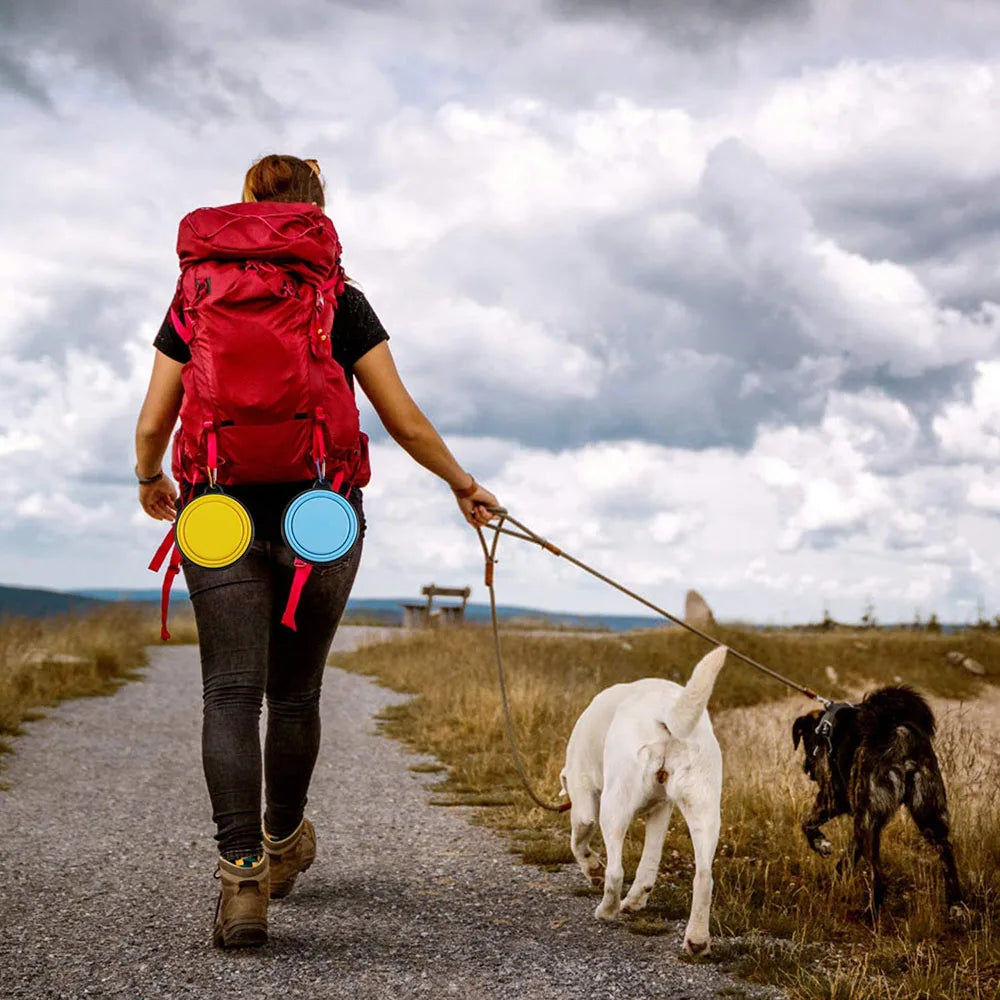 Collapsible Portable Travel Dog Bowls