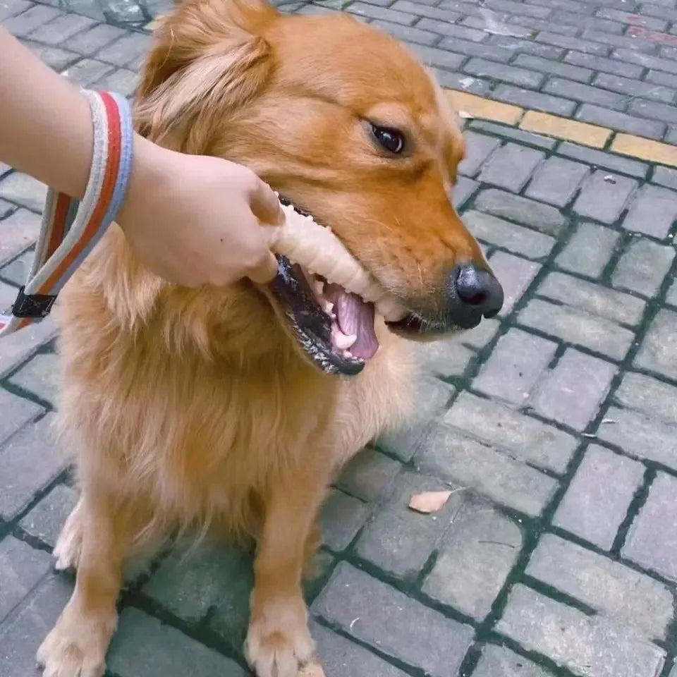 Dog Chew Toys for Aggressive Chewers