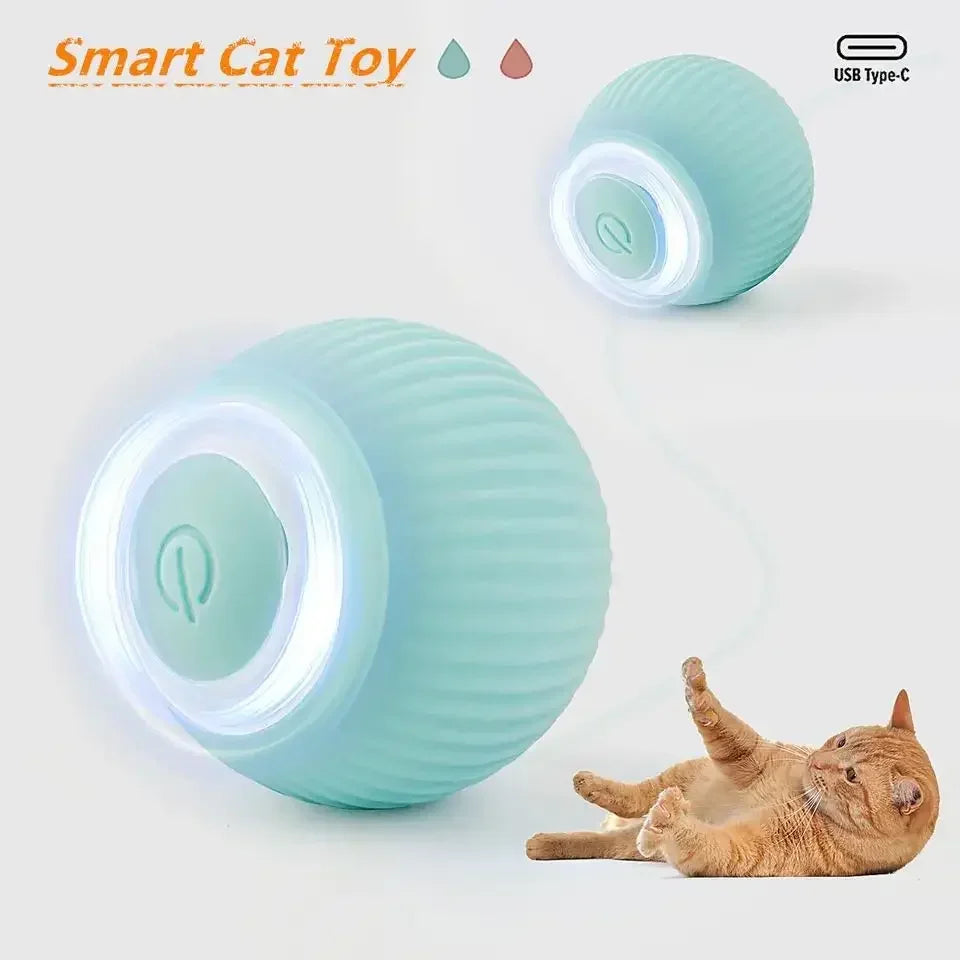 Cat Rolling Ball