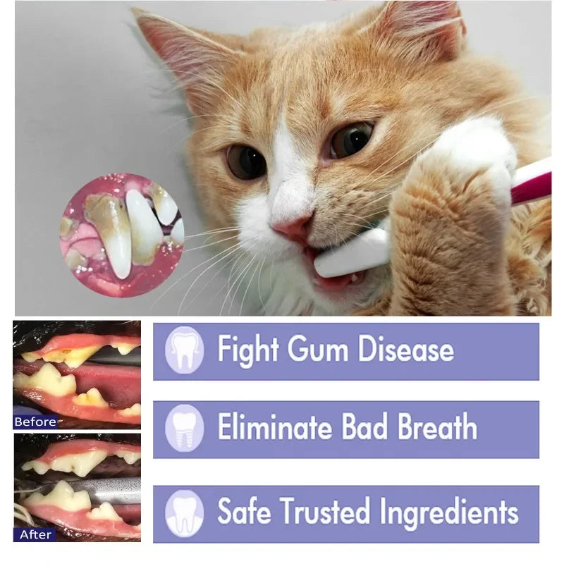 Pet Oral Gum Care Cleaning Toothpaste