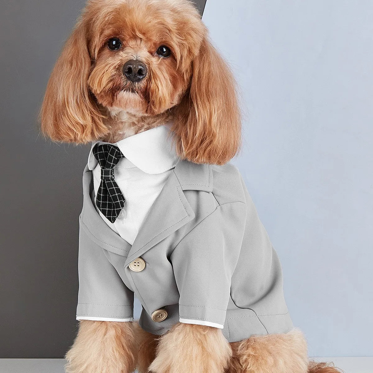 Dog Tuxedo Fashion Classic Suit for Pets