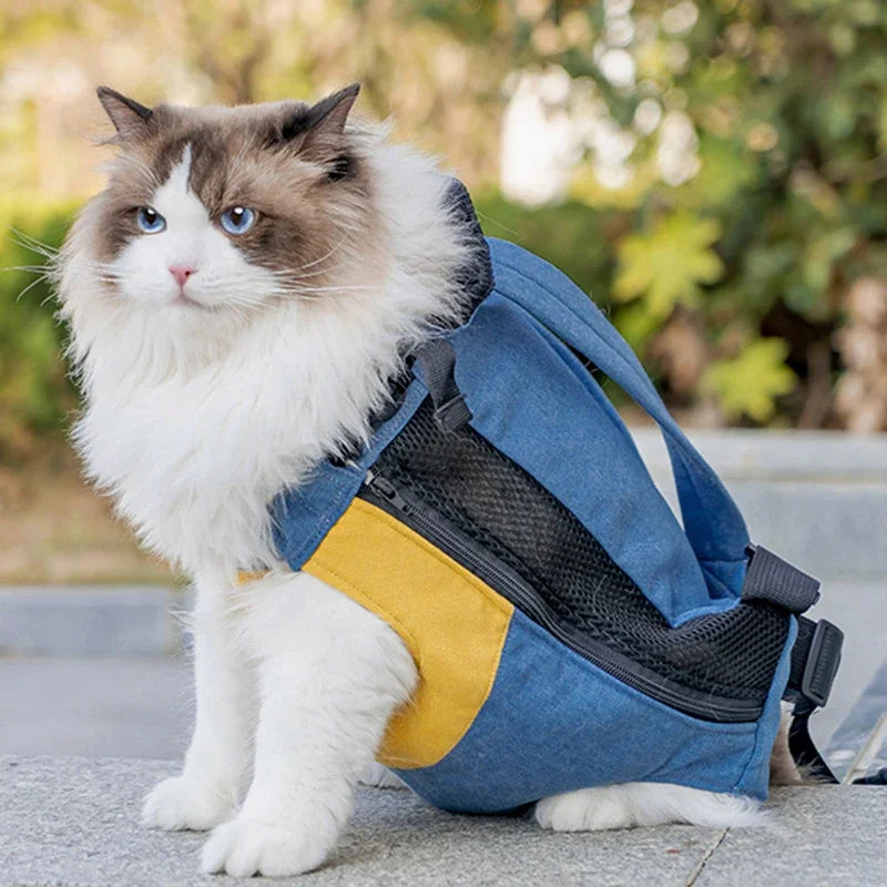 Cat Carrying Bag