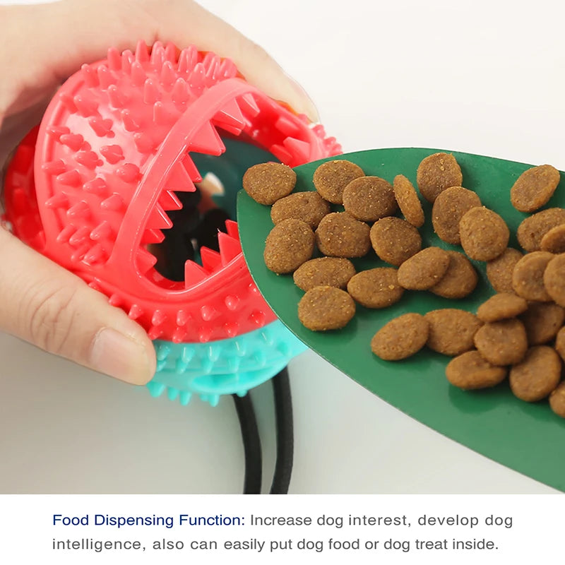 Dog Ball Toys Suction Cup