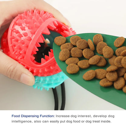 Dog Ball Toys Suction Cup