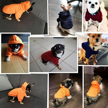 Dog Sweatshirt Two-legged Clothes