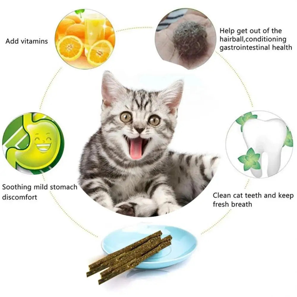 Natural Cat Nip Pet Cat Molar Toothpaste Stick